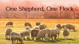 One Shepherd, One Flock