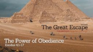 The Power of Obedience